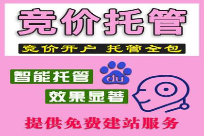 某公司SEM主管如何提升广告投放效果的实战案例